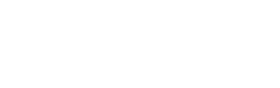 ORLEN Energia